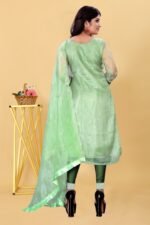 Partywear Pakistani Suits For Girls & Women's (Green) - Image 3