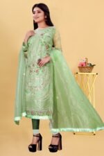 Partywear Pakistani Suits For Girls & Women's (Green) - Image 4